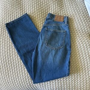 Aritzia Denim Forum Joni High Rise Loose Jeans 29L